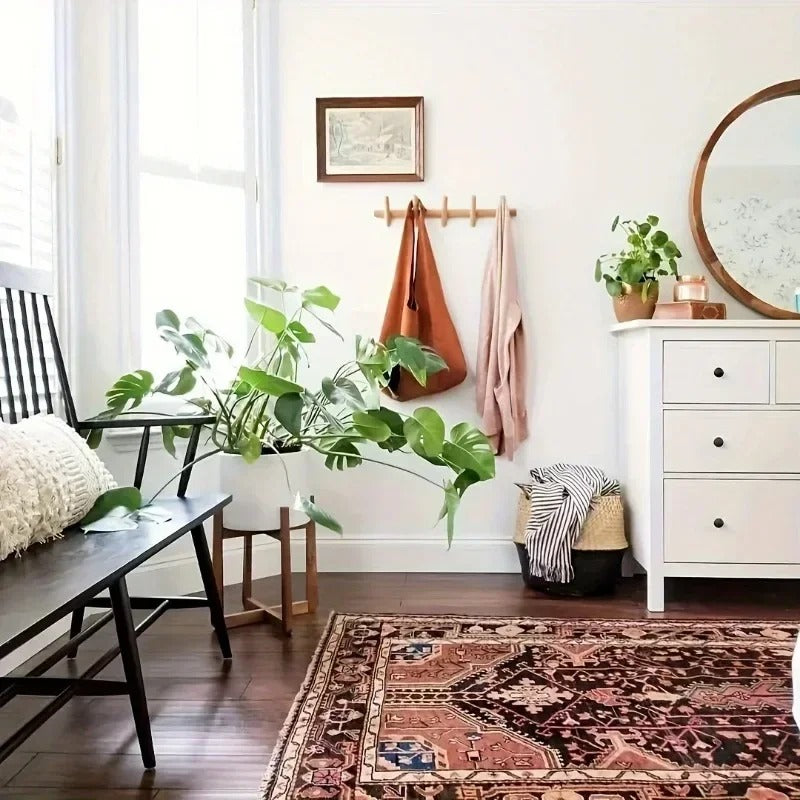 Bright entryway with plants and a wall rack