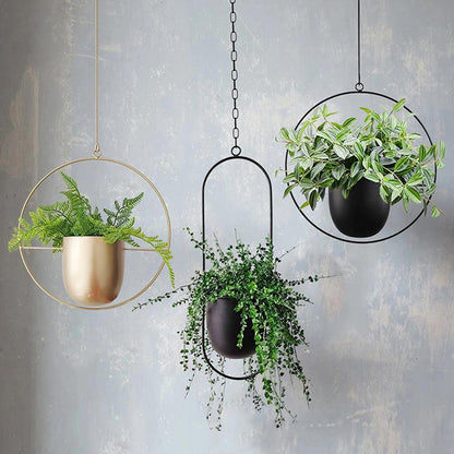 Iron Hanging Planter