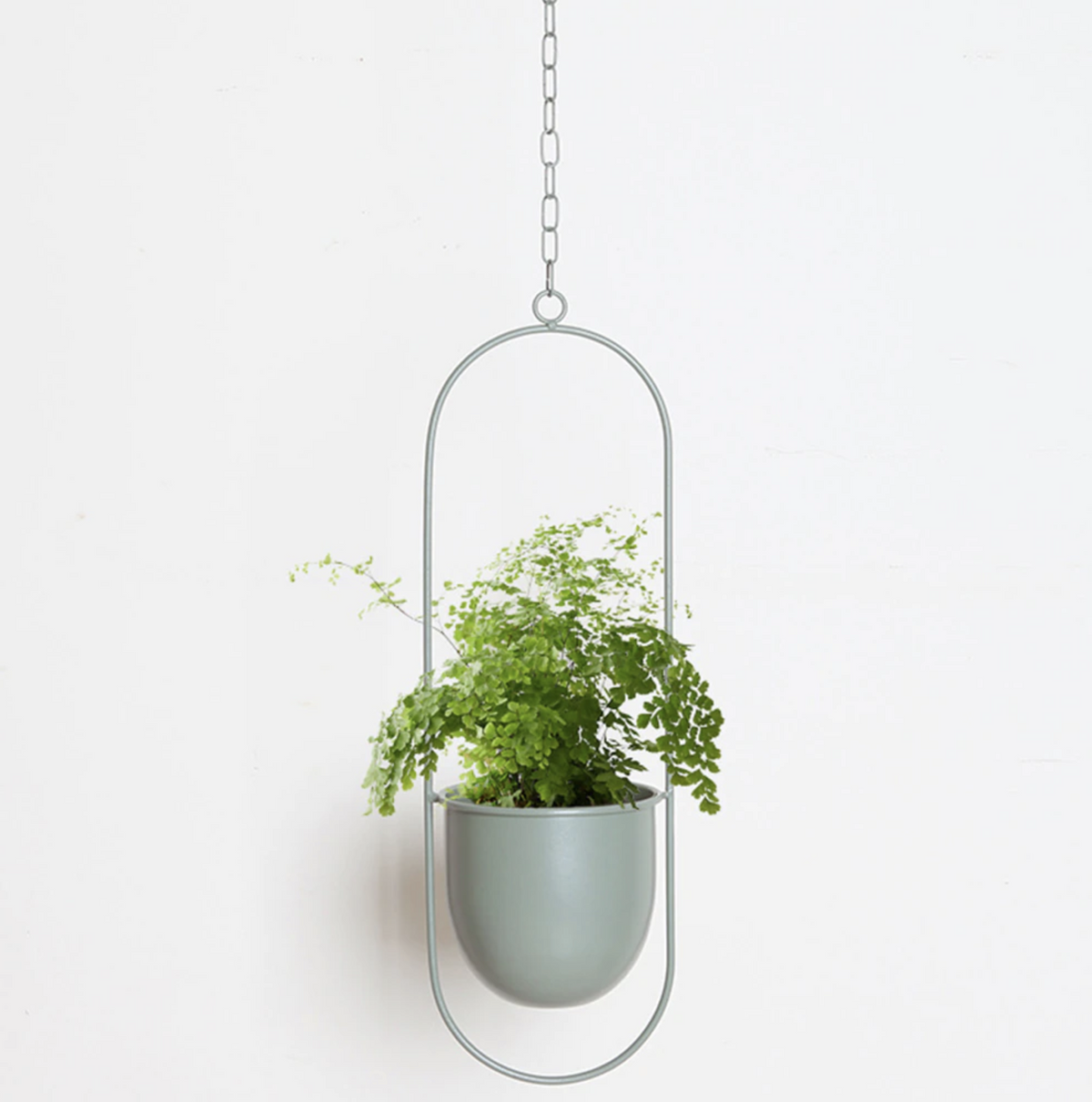 Iron Hanging Planter