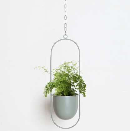Iron Hanging Planter