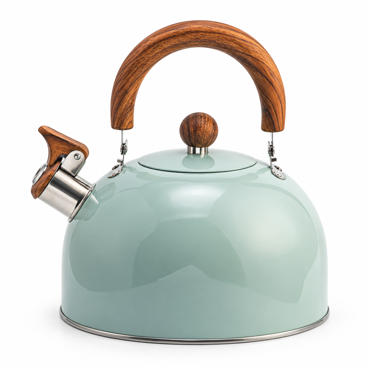 Stainless Steel Whistling Kettle